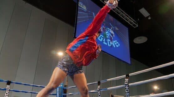 Golden Gloves VR — screenshot 4