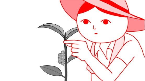 Kuukiyomi: Consider It World - Thailand Ver. — screenshot 7