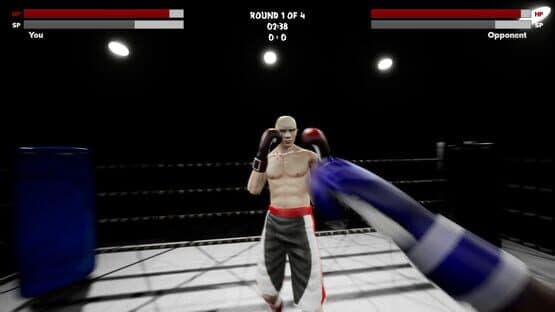 Boxing Simulator — screenshot 4