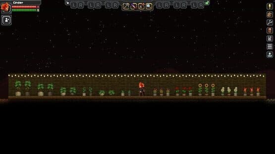 Decorative Plants — screenshot 1