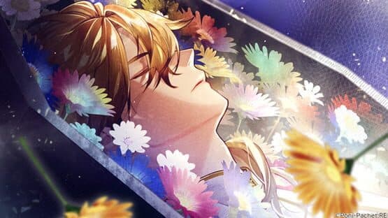 Kotou no Majo to Houtou Ouji — screenshot 7
