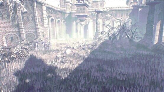 Lost Curse — screenshot 7