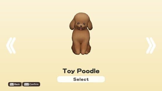 Doronko Wanko: Toy Poodle — screenshot 1