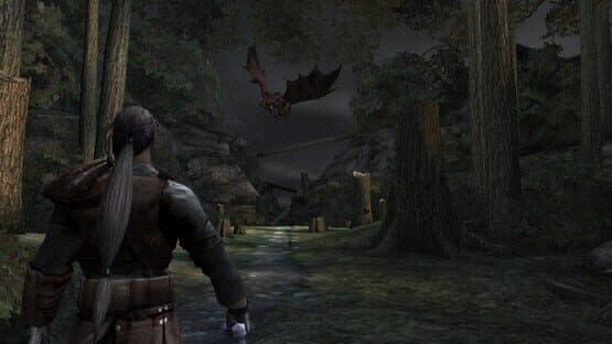Forgotten Realms: Demon Stone — screenshot 1