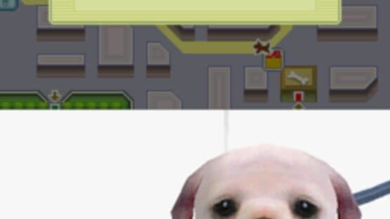 Nintendogs Deluxe — screenshot 3