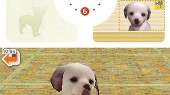 Nintendogs: Dalmatian & Friends — screenshot 2