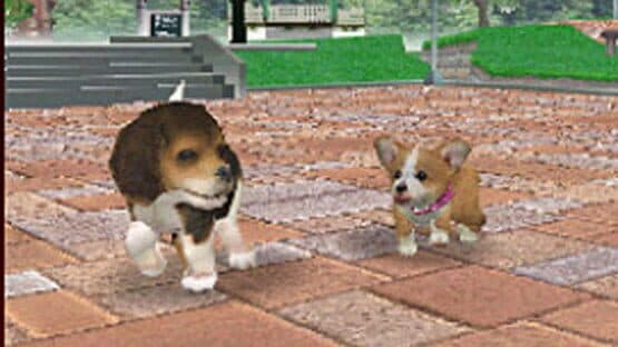 Nintendogs: Dalmatian & Friends — screenshot 3
