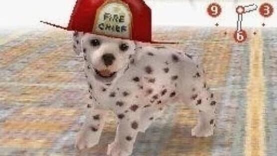 Nintendogs: Dalmatian & Friends — screenshot 4