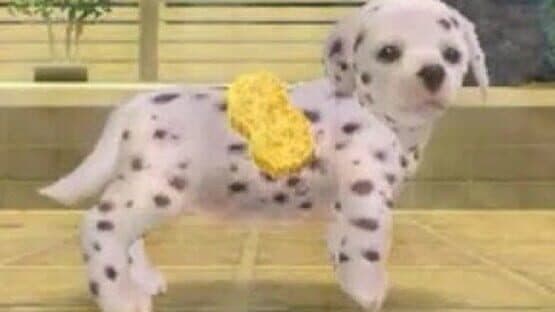 Nintendogs: Dalmatian & Friends — screenshot 5