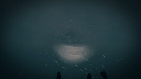 The Last Ski Trip — screenshot 4