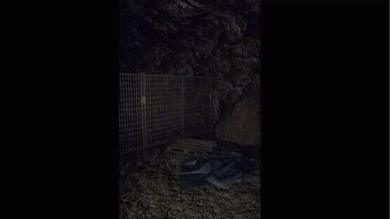 Missing — screenshot 2