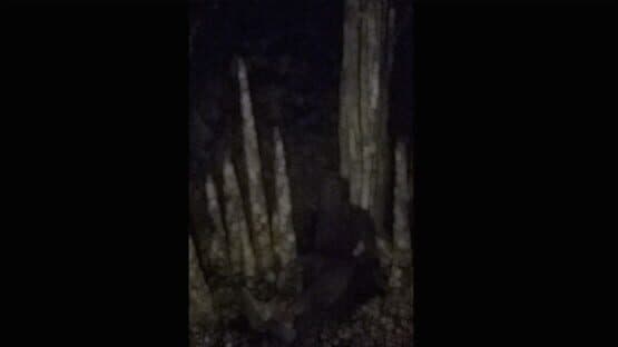 Missing — screenshot 4