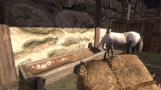 Medieval Horse Dealer Simulator — screenshot 2