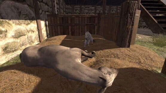 Medieval Horse Dealer Simulator — screenshot 3