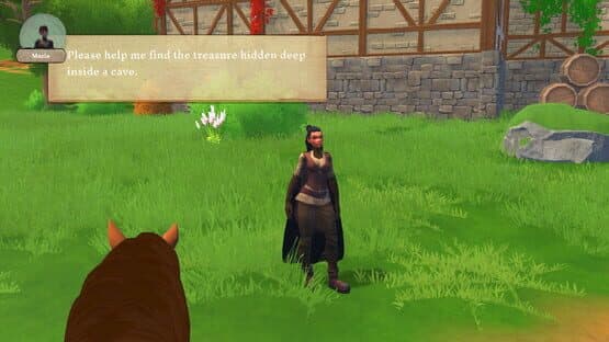 Storm Horse Simulator — screenshot 4