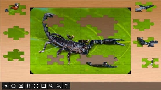 Jigsaw Puzzle World: Arachnids — screenshot 1