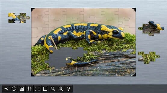 Jigsaw Puzzle World: Amphibians — screenshot 1