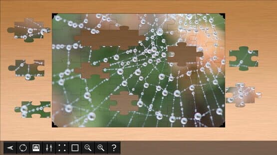 Jigsaw Puzzle World: Arachnids — screenshot 3