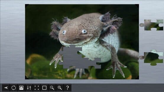 Jigsaw Puzzle World: Amphibians — screenshot 3