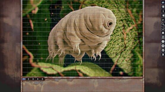 Pixel Puzzles: Illustrations & Anime - Jigsaw Pack: Microorganisms — screenshot 1