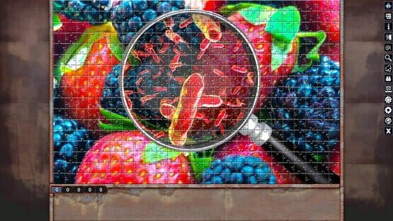 Pixel Puzzles: Illustrations & Anime - Jigsaw Pack: Microorganisms — screenshot 4