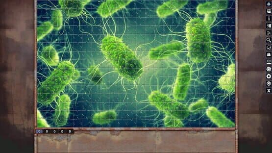 Pixel Puzzles: Illustrations & Anime - Jigsaw Pack: Microorganisms — screenshot 5