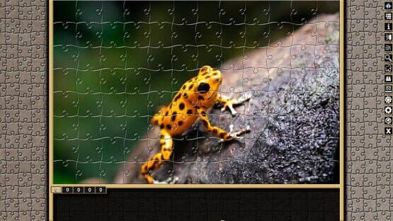 Pixel Puzzles Traditional Jigsaws: Frogs — screenshot 5