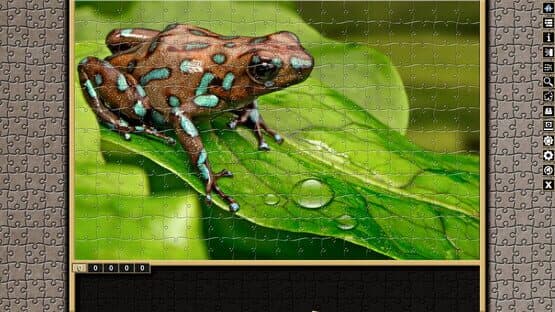 Pixel Puzzles Traditional Jigsaws: Frogs — screenshot 6