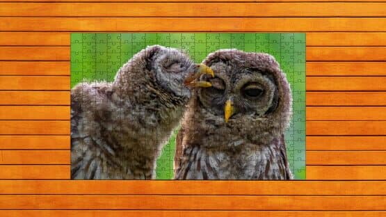 Whispers of Wings Jigsaw Puzzles: Expansion Pack 4 — screenshot 1