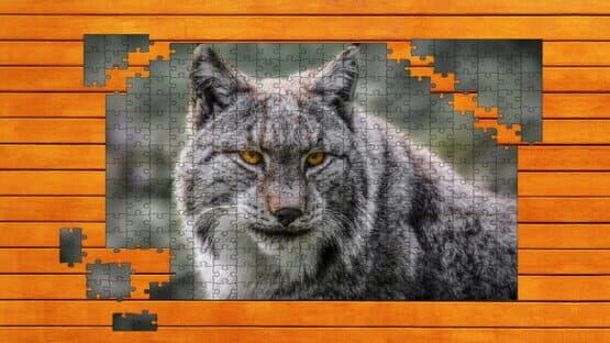 Wild Lynx Jigsaw: Expansion Pack 2 — screenshot 1