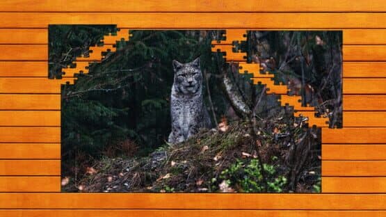 Wild Lynx Jigsaw: Expansion Pack 1 — screenshot 3