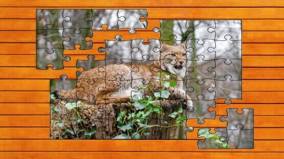 Wild Lynx Jigsaw: Expansion Pack 1 — screenshot 4