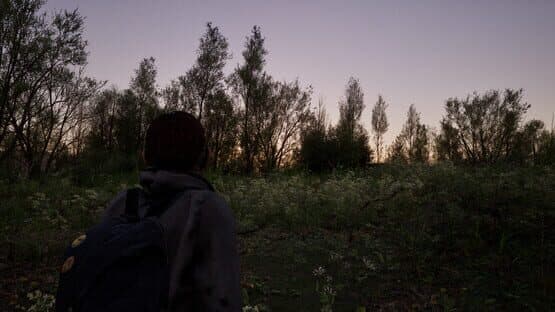 Forest Doesn’t Care — screenshot 6