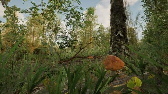 Forest Doesn’t Care — screenshot 8