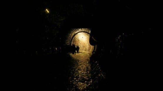 Aylin: The Story of Tom — screenshot 3