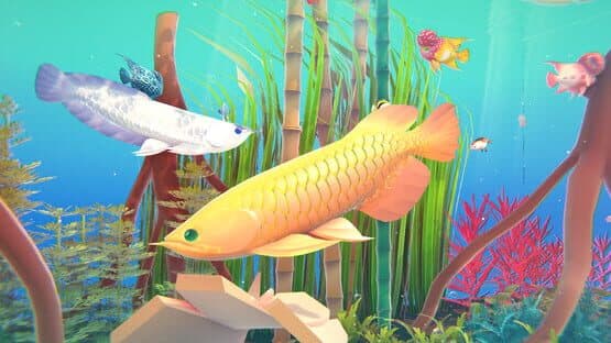 Fishplay — screenshot 4
