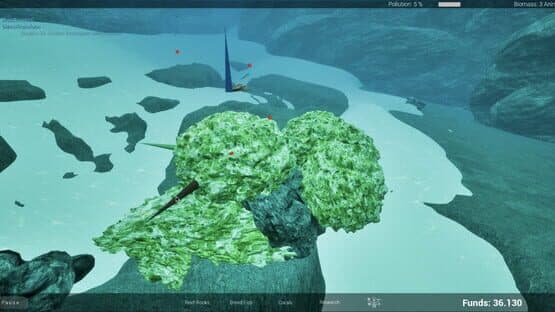 Coralland — screenshot 6