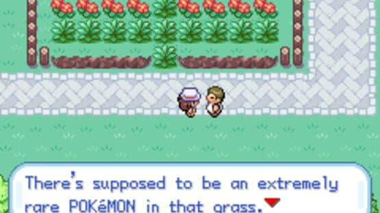 Celia's Stupid Romhack — screenshot 8