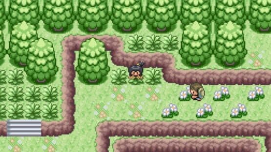 Pokémon Potassium — screenshot 2