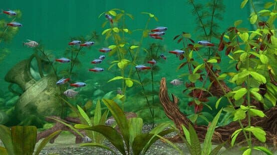 Fish Farm 3 — screenshot 2