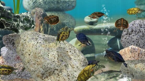 Fish Farm 3 — screenshot 3