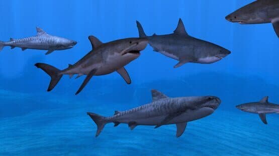 Fish Farm 3 — screenshot 4
