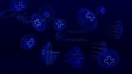 Fish Farm 3 — screenshot 6
