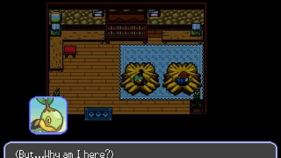 Pokémon: A Star in the Desert — screenshot 4
