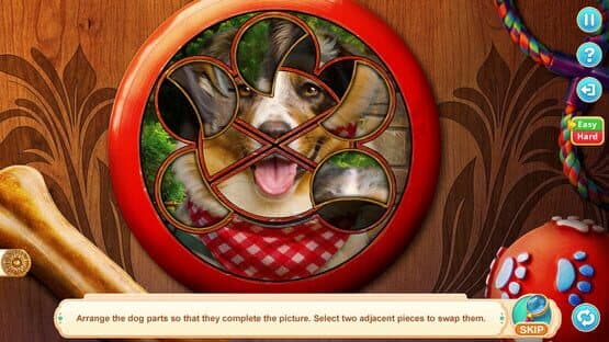 Home for Friends: Beloved Pets - Collector's Edition — screenshot 4