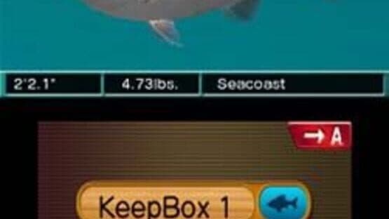 Reel Fishing Paradise 3D — screenshot 4