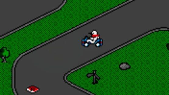 Moorhuhn: Kart Racer — screenshot 2