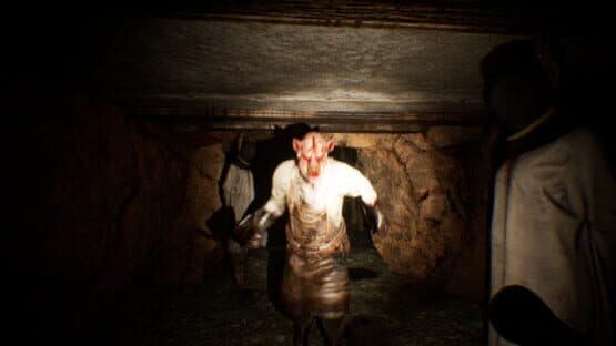 Swine's Revenge — screenshot 1
