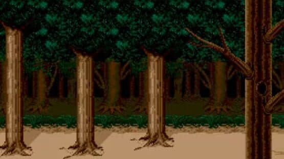Sunset Riders — screenshot 1