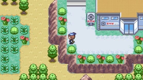 Pokémon Royal Sapphire — screenshot 5